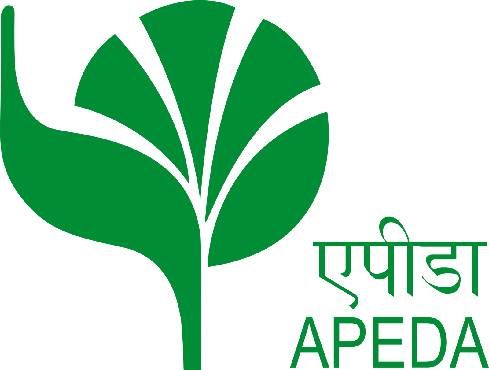 APEDA Certified