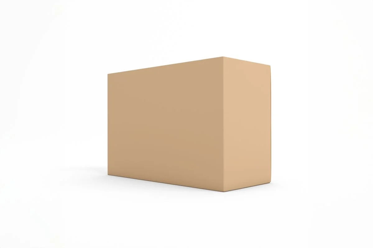 Daaniyal Gold Export Master Carton Box