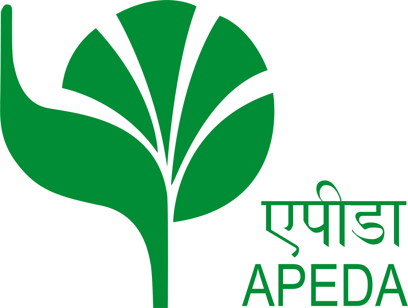 APEDA Certified